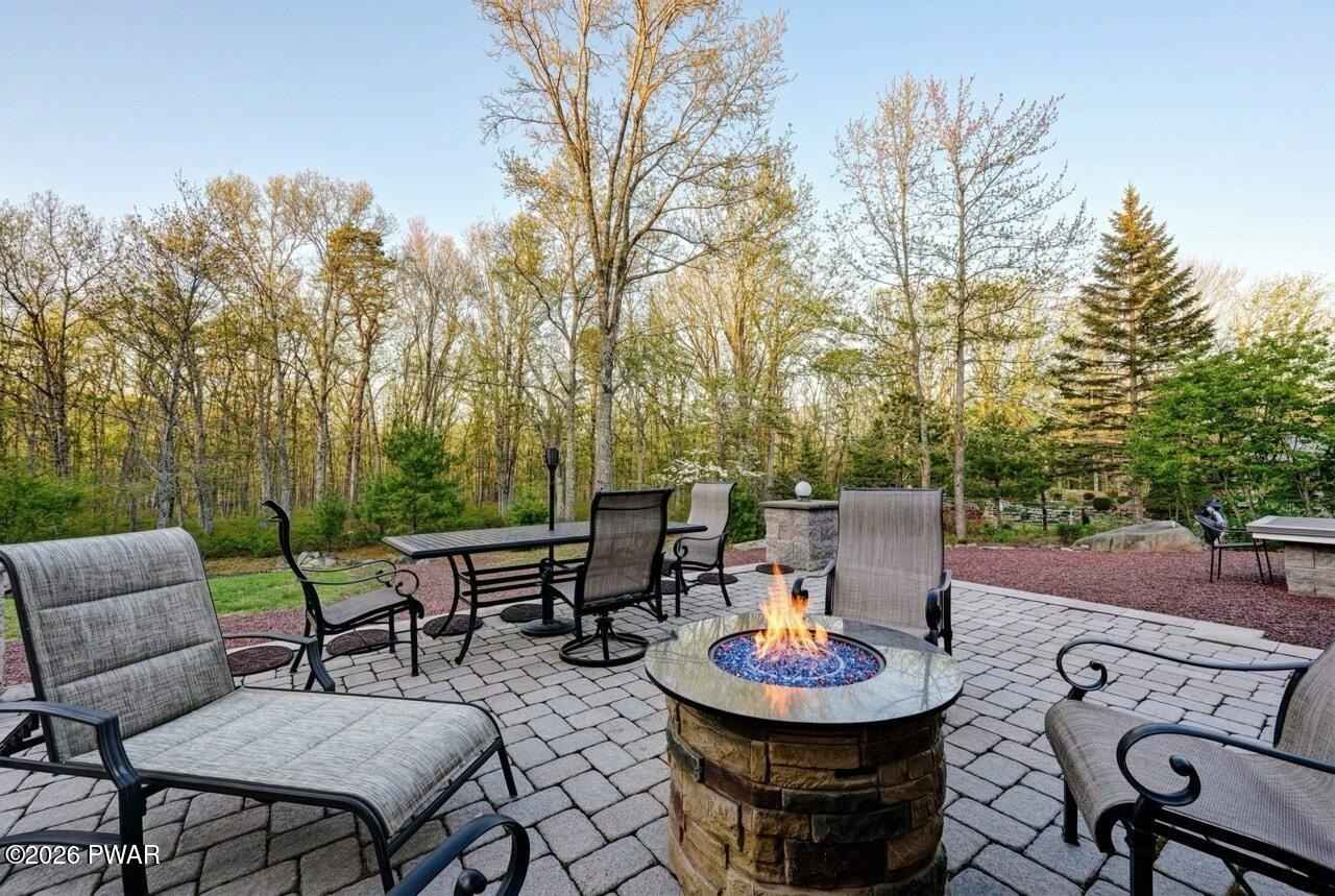 103 Black Birch  