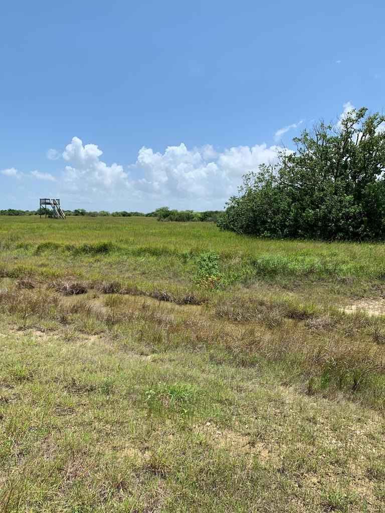 Falcon Way Lot 64  