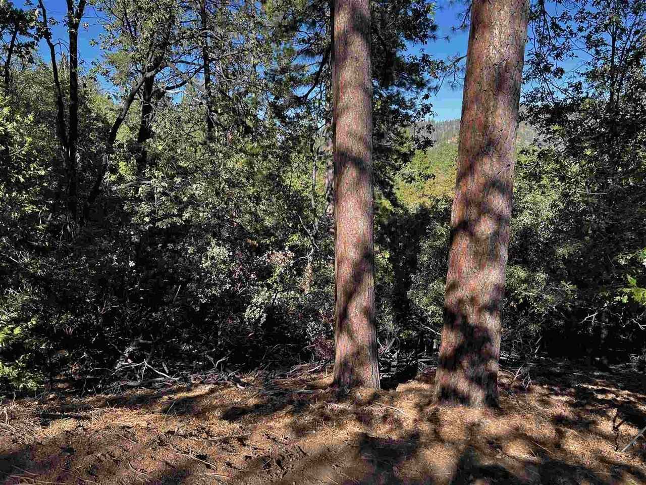 23804 S Oxbow  