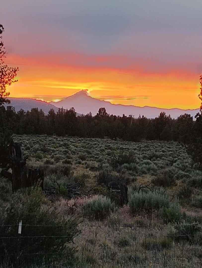 3913 SE Umatilla Loop  
