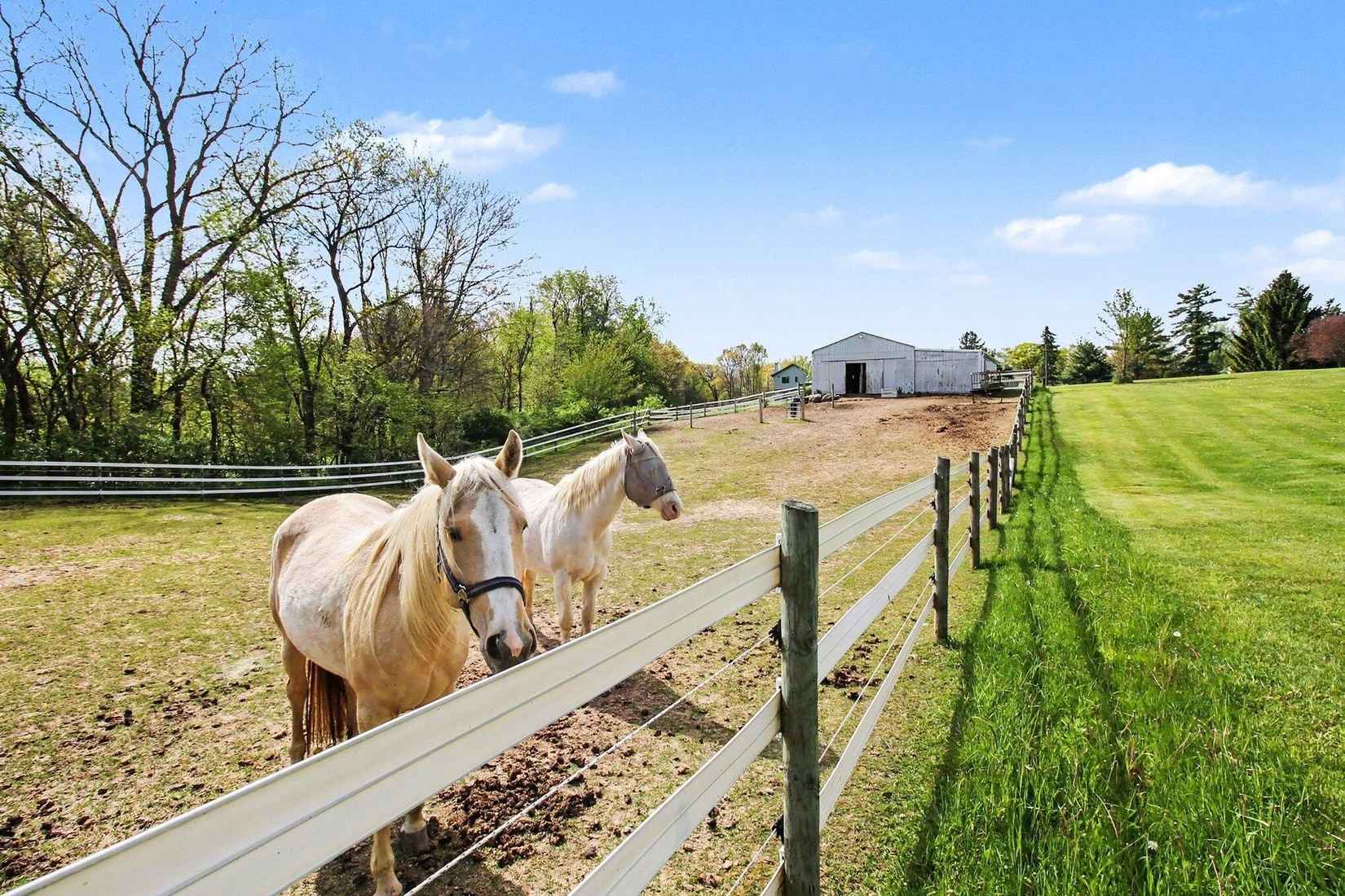 2536 W Coon Lk Rd  