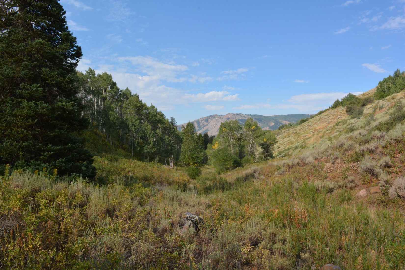 Sunridge 66 Acres  