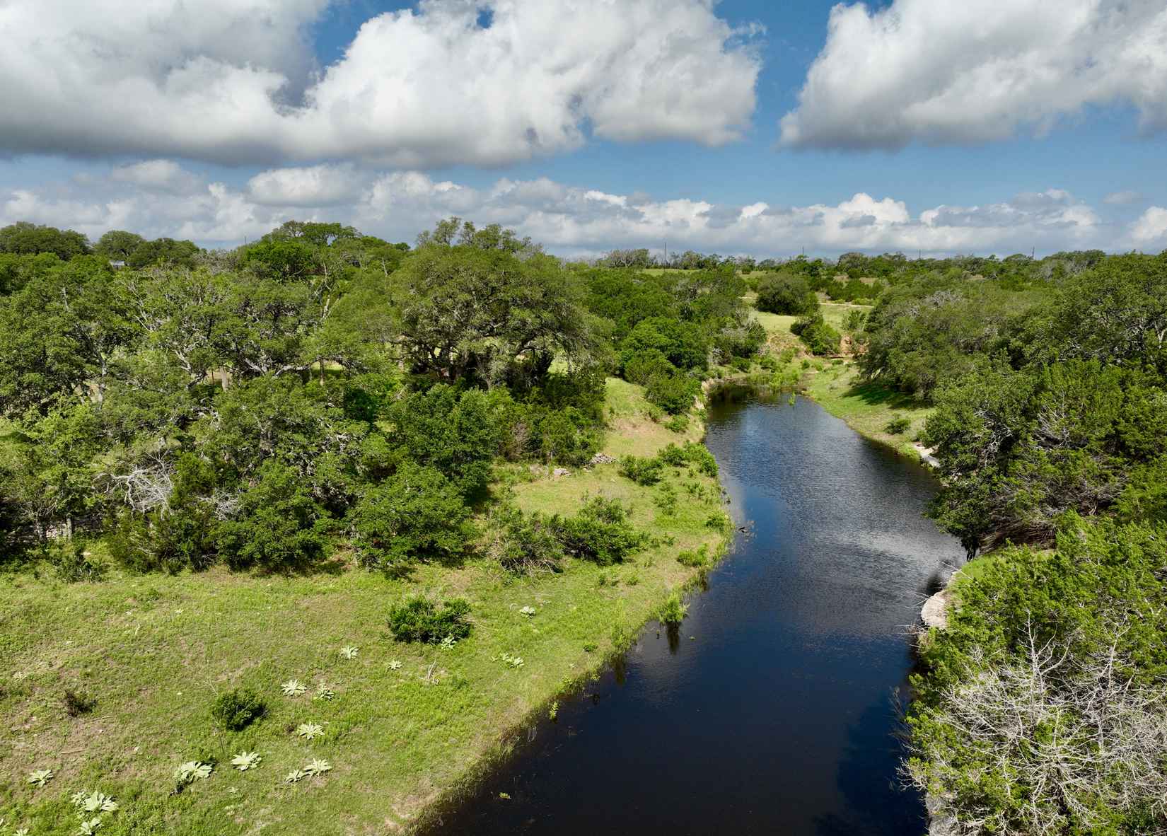 386/- Acres Last Buck Ranch Blanco County FM 1623  