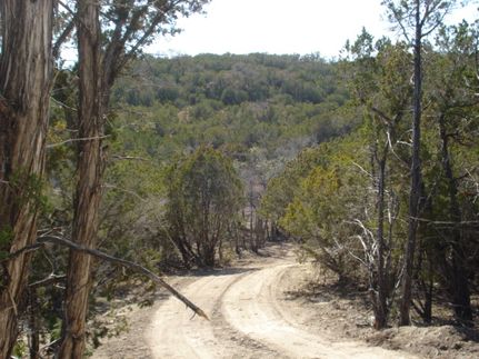 Undeveloped Land in Kerr County, Texas