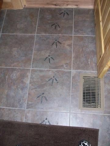 Land in Lee County, South Carolina