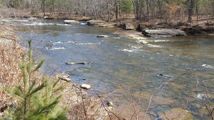 Undeveloped Land in Sullivan County, New York