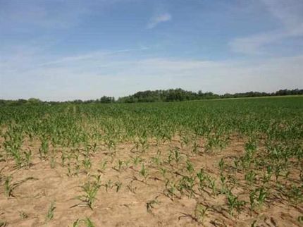 Farm and Ranch in Calloway County, Kentucky