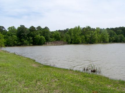Timberland Property in Walker County, Texas