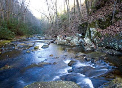 Undeveloped Land in Polk County, Tennessee