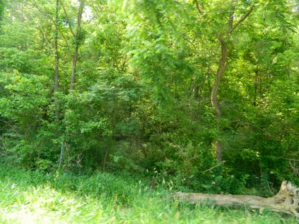 Timberland Property in Crawford County, Indiana