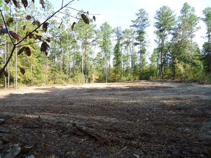 Recreational Property in Macon County, Georgia