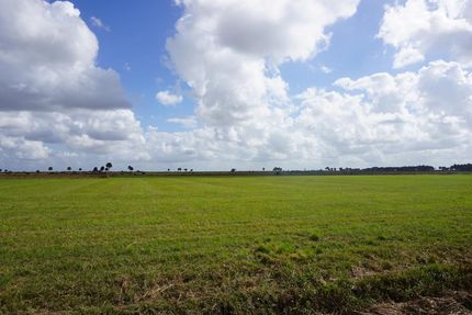 Farm and Ranch in Okeechobee County, Florida