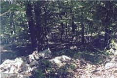 Land in Hampshire County, West Virginia