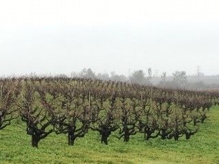 Land in San Joaquin County, California