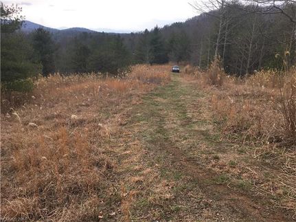 Undeveloped Land in Buncombe County, North Carolina