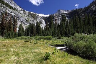 Undeveloped Land in Trinity County, California