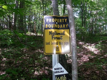 Undeveloped Land in Madison County, North Carolina