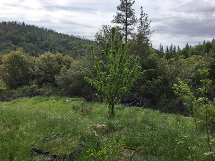 Farm and Ranch in Butte County, California