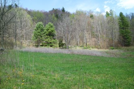Undeveloped Land in Madison County, North Carolina