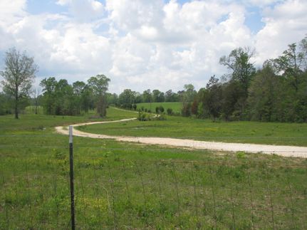 Hunting Property in Chattooga County, Georgia