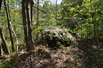 Undeveloped Land in Madison County, North Carolina