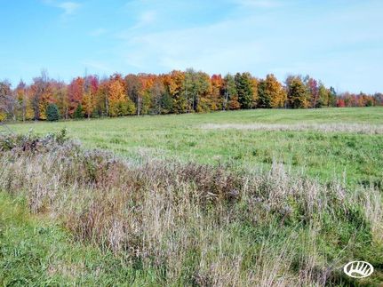 Farm and Ranch in Price County, Wisconsin