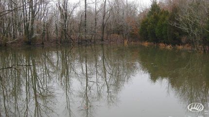 Farm and Ranch in Massac County, Illinois