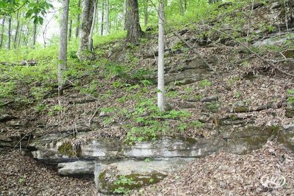 Land in Putnam County, Tennessee