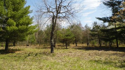 Recreational Property in Iosco County, Michigan