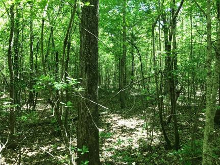 Land in Fayette County, Alabama