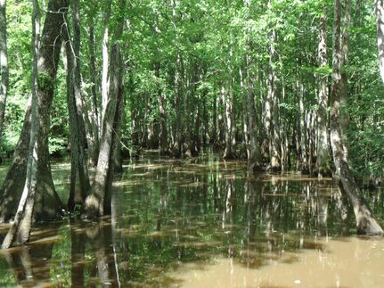 Recreational Property in Caddo Parish, Louisiana
