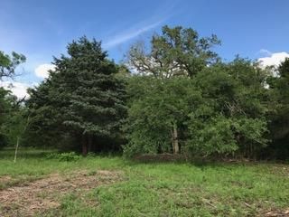Farm and Ranch in Bastrop County, Texas