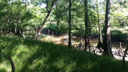 Commercial Property in Wharton County, Texas