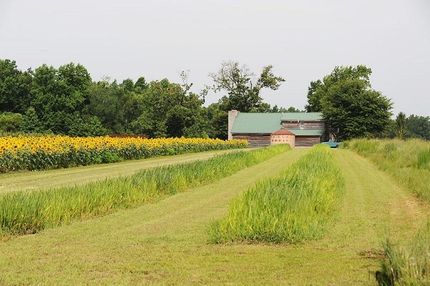 Recreational Property in Dillon County, South Carolina