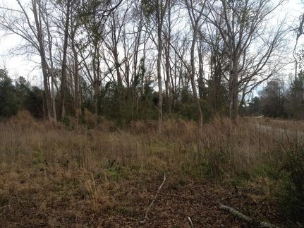Undeveloped Land in Hampton County, South Carolina