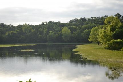 Timberland Property in Conway County, Arkansas
