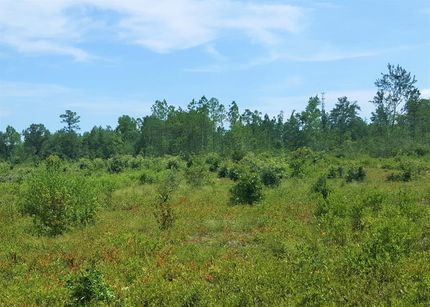 Recreational Property in Brunswick County, North Carolina