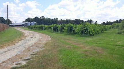 Hunting Property in Sampson County, North Carolina