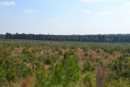 Recreational Property in Hempstead County, Arkansas