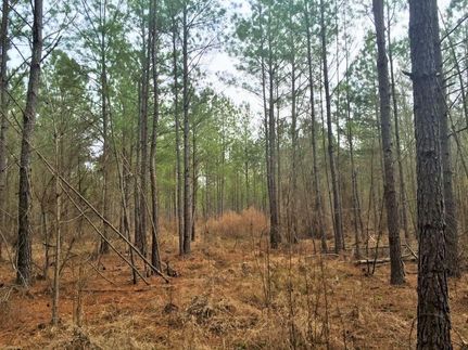 Land in Kershaw County, South Carolina