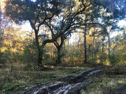 Farm and Ranch in Beaufort County, South Carolina