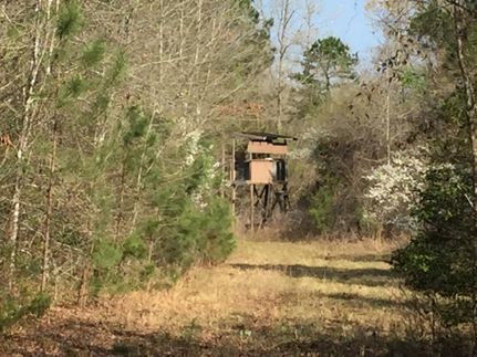 Farm and Ranch in Hot Spring County, Arkansas