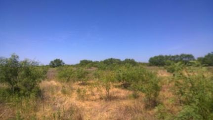 Recreational Property in Eastland County, Texas