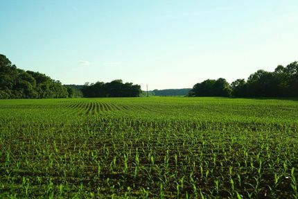 Hunting Property in Talladega County, Alabama