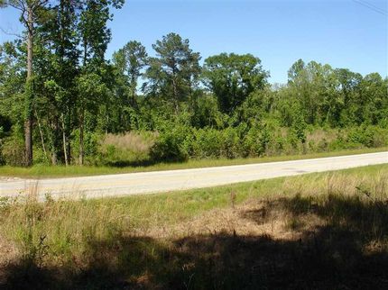 Land in Bullock County, Alabama
