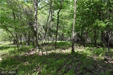 Recreational Property in Grant County, West Virginia