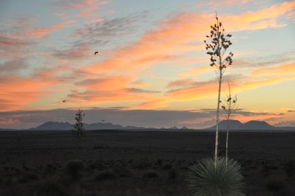 Farm and Ranch in Presidio County, Texas