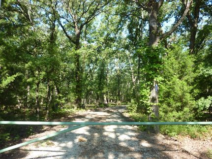 Timberland Property in Rains County, Texas