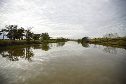 Undeveloped Land in Guadalupe County, Texas