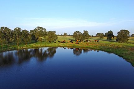 Lakefront Property in Wilson County, Texas
